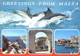 71821006 Malta Delphin Boote   - Malte