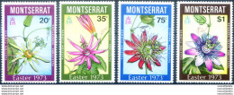 Pasqua. Fiori 1973. - Montserrat