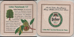 5005381 Bierdeckel Quadratisch - Licher - Sous-bocks