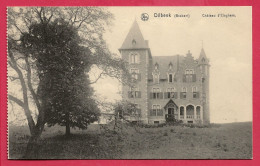 C.P. Dilbeek = Château  D'  Eleghem - Dilbeek