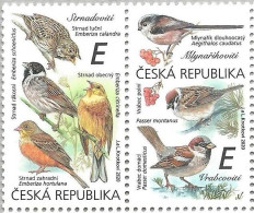 1083 - 4 Czech Republic Birds Bubting Bushtit Sparrow 2020 - Passereaux