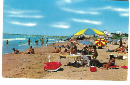 Alger La Plage D' Or - Algeri