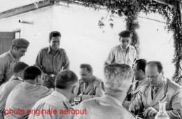 Banquet Sous Les Palmiers, Officiers Yougoslaves Des Forces UNEF I Au Sinaï Avec Des Invités - Egypte - 1er Mai 1962 - Guerre, Militaire