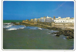 Essaouira Vue Sur La Mer - Sonstige & Ohne Zuordnung