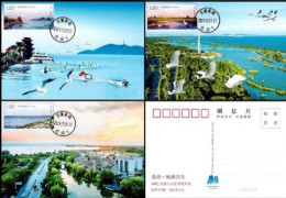 China Maximum Card,2024-9 Chaohu Lake，3 Pcs - Maximumkarten