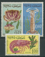 Marokko 1965 Krebstiere Garnele Krabbe 553/55 Postfrisch - Morocco (1956-...)