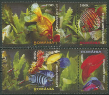 Rumänien 2005 Tiere Zierfische 5912/15 ZF Postfrisch - Ungebraucht