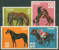 DDR 1967 Tiere Pferde Vollblutmeeting 1302/05 Postfrisch - Unused Stamps