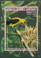Äquatorialguinea 1976 Tiere Europäische Vögel Block 237 Gestempelt (C62593) - Guinée Equatoriale