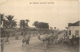 Senegal - Saint Louis - Guet N Dar - Senegal