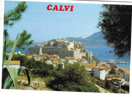 Calvi La Citadelle - Calvi