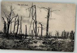 39865141 - See Und Park Baeume Vernichtet - Disasters