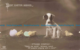 R672713 Best Easter Wishes. Strange Company. E. A. Schwerdtfeger. RP. 194 - Monde