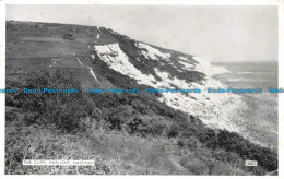 R673324 Hastings. The Cliffs. Fairlight. J. Salmon. 1960 - Monde