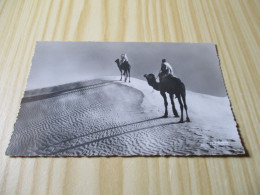 CPSM Collection Saharienne - Chameliers Sur La Dune - Carte Animée. - Western Sahara