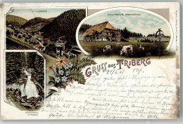 13967941 - Triberg Im Schwarzwald - Triberg