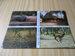 Parc National Du Niokolo-Koba (Sénégal).Hippopotame - Restaurant De Simenti - Lion - Cobe De Buffon Mâle. - Senegal