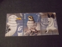 Nederland Beleef De Natuur   Nr 3854-56 Strip Van 3 Grote Mantelmeeuw, Strand Leeuwerik, Kluut - Used Stamps