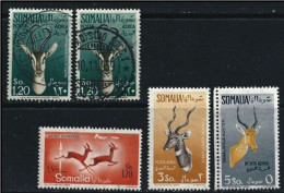 ● SOMALIA A.F.I.S. 1955 / 58 ֍ Antilopi ️● Posta Aerea ️● N. 30 Usati + 45 /47 ** ️● Cat. 47 € ️● Lotto N. 1755 ️● - Somalië (AFIS)