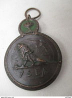 Médaille   - BELGE -  Sans  Ruban  - YSER Très Bon état - Decorative Weapons