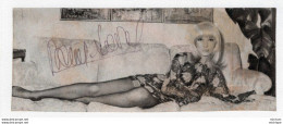 N°1437  SIGNATURE    DE DANY SAVAL  6X16 Cm - Other & Unclassified