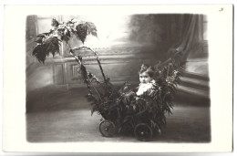 ENFANT Dans Un Landau - CARTE PHOTO - Sonstige & Ohne Zuordnung