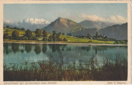 Gerzensee - Blüemlisalp, Niesen, Kirchdorf       Ca. 1930 - Gerzensee