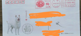 China Cover,2018 Year Of Dog  postage Machine Stamp - Briefe
