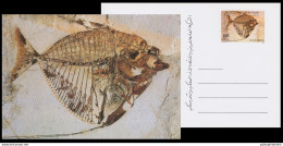 Libya 1996  Fish, Fossil, Prehistoric Animal, Postal Stationery - Préhistoriques