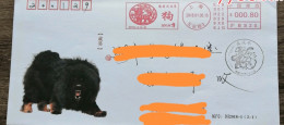 China Cover,2018 Year Of Dog  postage Machine Stamp - Sobres