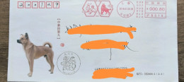 China Cover,2018 Year Of Dog  postage Machine Stamp - Enveloppes