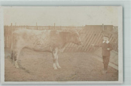 39153141 - Zuchtbulle - Cows