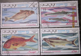 SAHARA OCC. R.A.S.D. ~ 1991 ~ FISH. ~ VFU #03695 - Africa (Other)