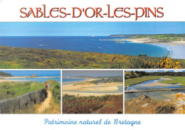 22-SABLES D OR LE PINS-N°T2773-A/0365 - Other & Unclassified
