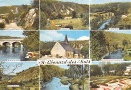 72-SAINT LEONARD DES BOIS-N°T2773-A/0271 - Saint Leonard Des Bois