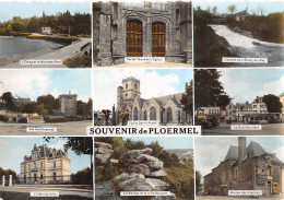 56-PLOERMEL-N°T2773-A/0217 - Ploërmel