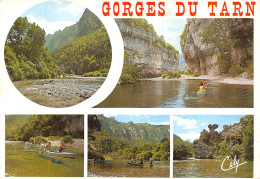 48-GORGES DU TARN LES DETROITS-N°T2773-A/0131 - Gorges Du Tarn