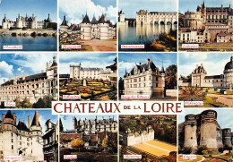 41-LES CHATEAUX DU VAL DE LOIRE-N°T2773-D/0369 - Other & Unclassified