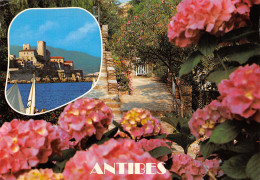 06-ANTIBES-N°T2773-D/0243 - Other & Unclassified