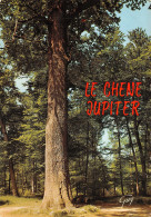 77-FONTAINEBLEAU LE CHENE JUPITER-N°T2774-C/0169 - Fontainebleau
