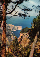 2A-CORSE CALANQUE DE PIANA-N°T2775-B/0369 - Autres & Non Classés