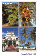 971-GUADELOUPE FOUGERES GRAPPE DE COCOS-N°T2775-C/0311 - Andere & Zonder Classificatie