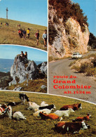 01-ROUTE DU GRAND COLOMBIER-N°T2776-C/0157 - Zonder Classificatie