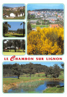 43-LE CHAMBON SUR LIGNON-N°T2776-B/0399 - Le Chambon-sur-Lignon