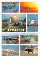 13-LA CAMARGUE-N°T2776-B/0097 - Autres & Non Classés