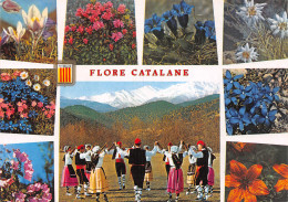 66-FLORE CATALANE-N°2777-D/0123 - Other & Unclassified