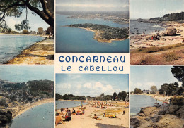 29-CONCARNEAU-N°2777-D/0099 - Concarneau
