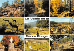 57-VALLEE DE LA SARRE ROUGE-N°2778-D/0015 - Autres & Non Classés