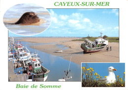 80-CAYEUX SUR MER-N°2778-B/0383 - Cayeux Sur Mer