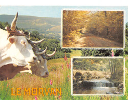 58-EN MORVAN-N°2778-B/0101 - Autres & Non Classés